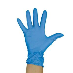 KeepCLEAN Vinyl Glove Powder Free Blue Large