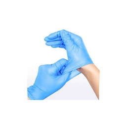 Synmax Vinyl Glove Powder Free Blue Large