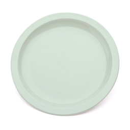 Large Narrow Rimmed Plate Green 23CM
