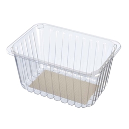 Padded Food Tray Clear 239x167x100MM