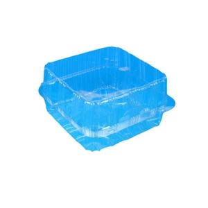 Patipack Hinged Container Clear 165x165x100MM