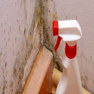 Mould Removers