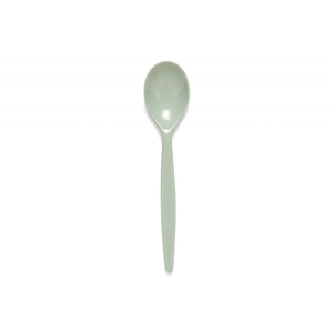 Reusable Dessert Spoon Green 20CM