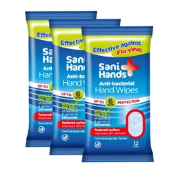 Sani Hands Anti-Bacterial Hand Wipes 12 Wipes
